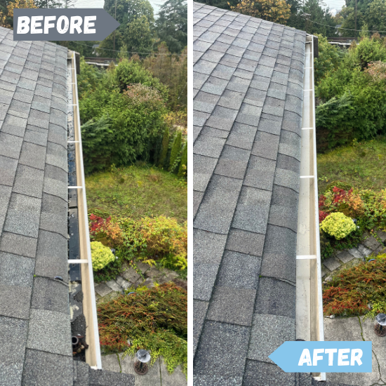 GUTTER CLEANING