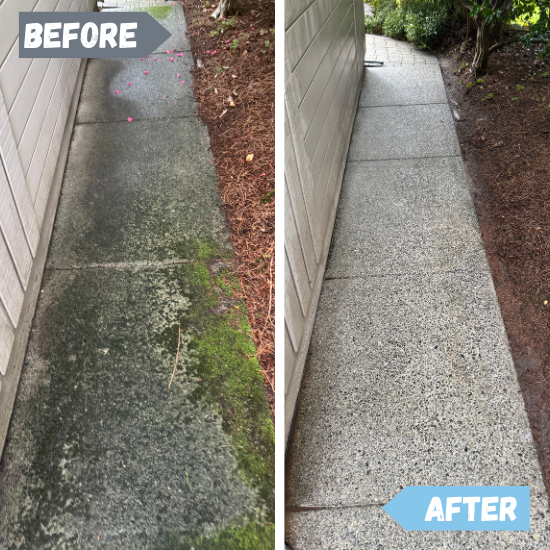 PRESSURE WASHING